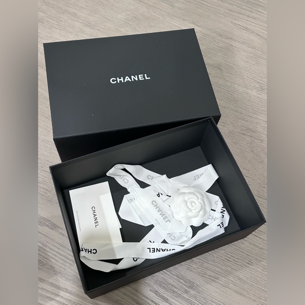 CHANEL Classic Long Vanity with Chain - Picture 12 of 15